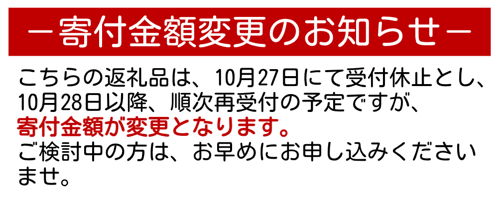 藍パール ディープインディゴ ネックレス