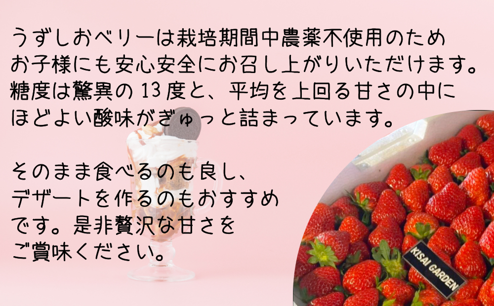 【2025年1月中旬頃より順次発送】KISAI GARDEN うずしおベリー 3Lサイズ 30個 【数量限定】 | 栽培期間中農薬不使用 苺 いちご イチゴ 徳島 鳴門 果物 フルーツ スムージー ジャム