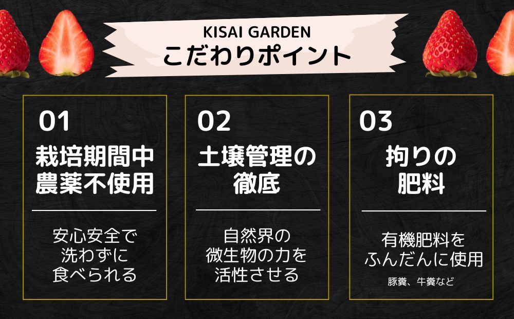 【2025年1月中旬頃より順次発送】KISAI GARDEN うずしおベリー 3Lサイズ 30個 【数量限定】 | 栽培期間中農薬不使用 苺 いちご イチゴ 徳島 鳴門 果物 フルーツ スムージー ジャム