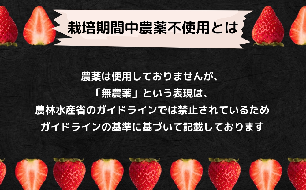 【2025年1月中旬頃より順次発送】KISAI GARDEN うずしおベリー 超大粒 24個 【数量限定】 | 栽培期間中農薬不使用 苺 いちご イチゴ 徳島 鳴門 果物 フルーツ スムージー ジャム