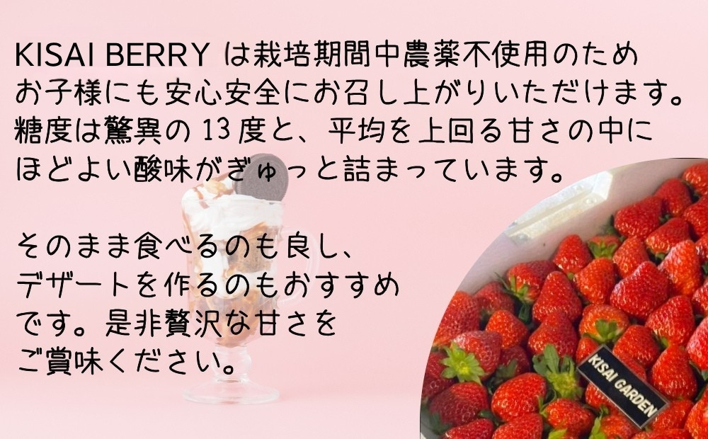 【2026年1月頃より順次発送】KISAI BERRY 大粒 30個 【数量限定】 | 栽培期間中農薬不使用 苺 いちご イチゴ 徳島 鳴門 果物 フルーツ スムージー ジャム