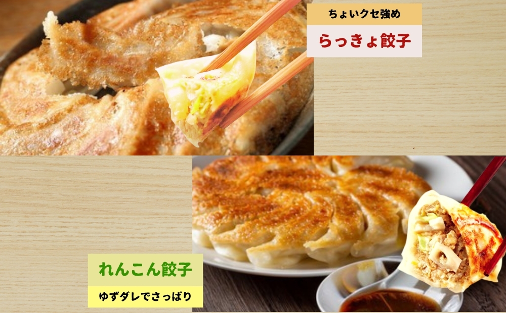 豪華鳴門餃子セット　　鳴門　らっきょう　れんこん　鳴門らっきょ　セット　蓮根　惣菜　冷凍　餃子