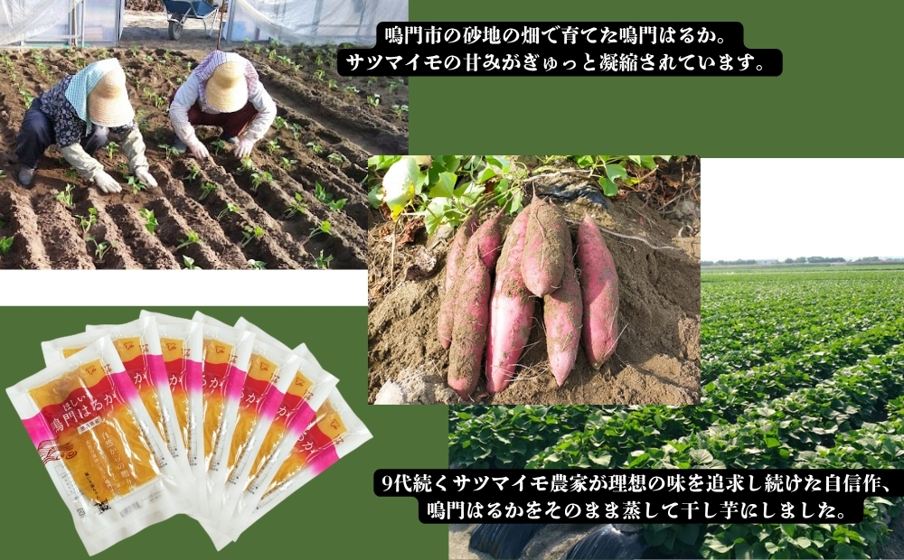 鳴門はるかの干し芋 120g×7袋　紅はるか　鳴門　おやつ　しっとり　さつまいも　干し芋