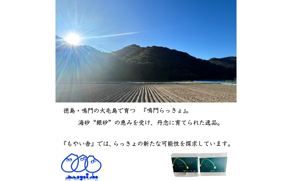 豪華鳴門餃子セット　　鳴門　らっきょう　れんこん　鳴門らっきょ　セット　蓮根　惣菜　冷凍　餃子
