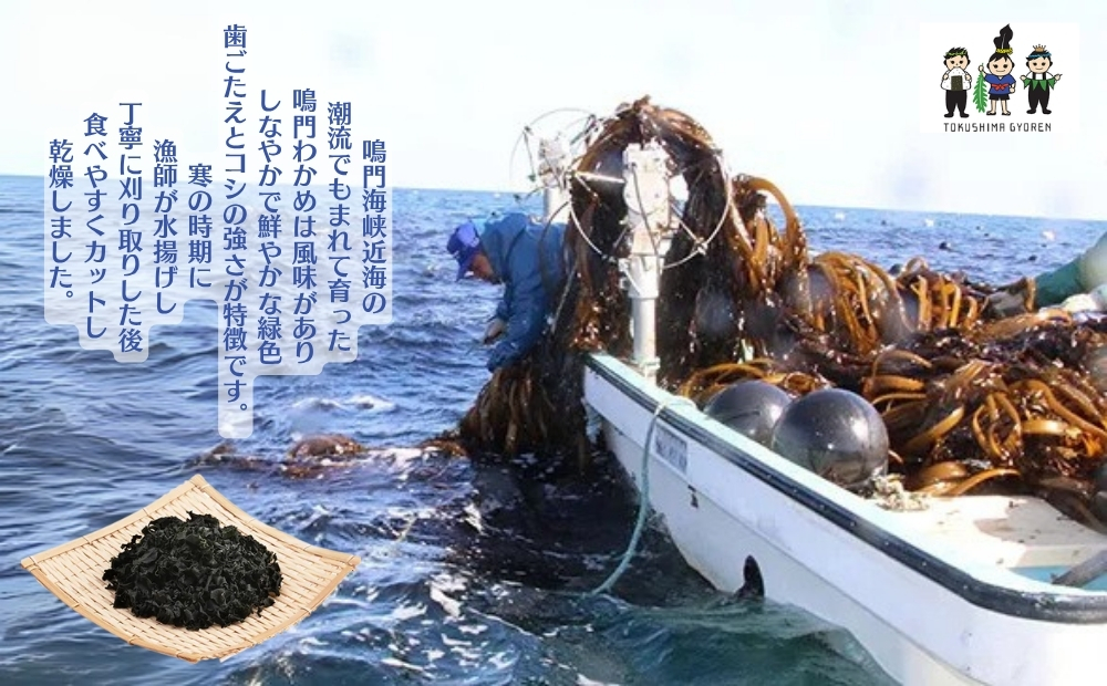 鳴門産カットわかめ　15ｇ×13袋　　 乾燥わかめ 鳴門産わかめ お手頃乾燥わかめ 便利なカット済み乾燥わかめ カット わかめ 乾燥 わかめ 小分けワカメ