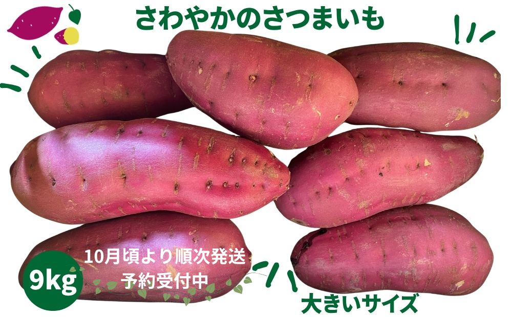 【予約受付中・2026年10月頃より順次発送】さわやかのサツマイモ 大きいサイズ 9kg 　鳴門　サツマイモ　ねっとり　甘い　天ぷら　スイーツ　焼き芋　さつまいも
