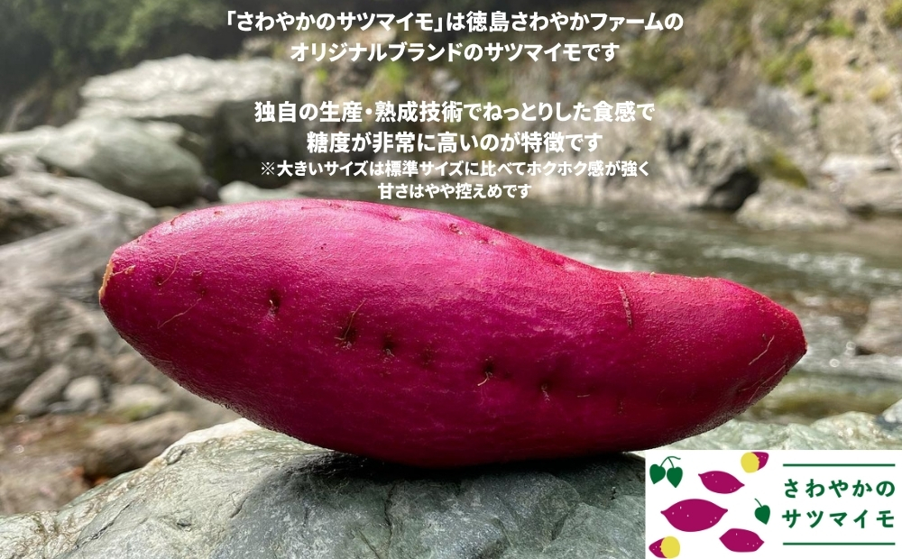 さわやかのサツマイモ 大きいサイズ 9kg 　鳴門　サツマイモ　ねっとり　甘い　天ぷら　スイーツ　焼き芋　さつまいも