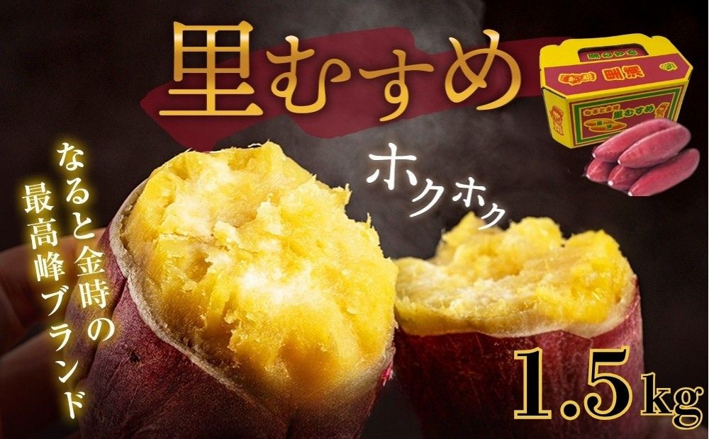 なると金時 里むすめ 1.5kg　鳴門金時　さつま芋　サツマイモ　ほくほく　お菓子　おかず　天ぷら　焼き芋 ギフト 贈り物 お土産  里娘