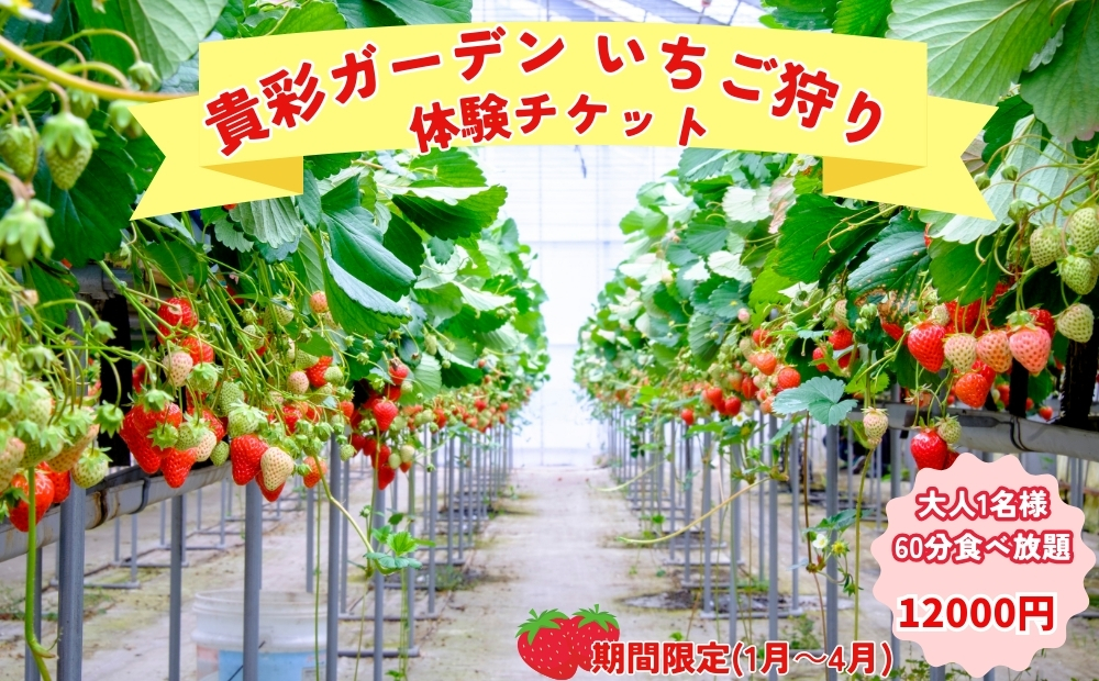 【栽培期間中農薬不使用】貴彩ガーデンいちご狩り体験チケット