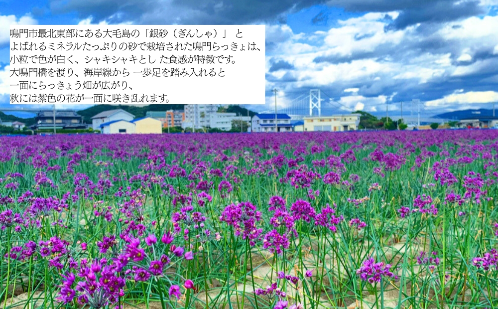 鳎éãã£ãããçé
¢æŒ¬ã