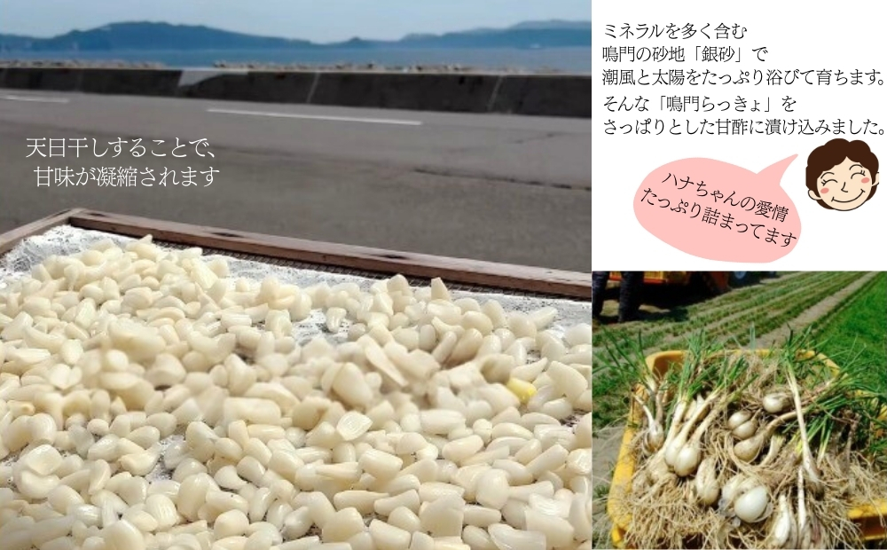 鳎éãã£ãããçé
¢æŒ¬ã