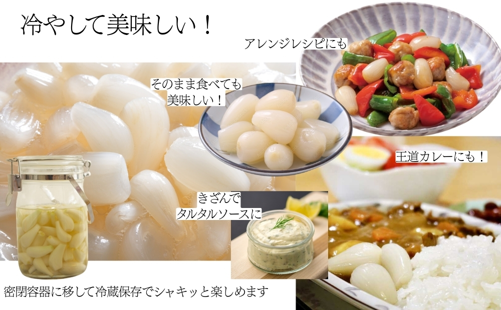 鳎éãã£ãããçé
¢æŒ¬ã