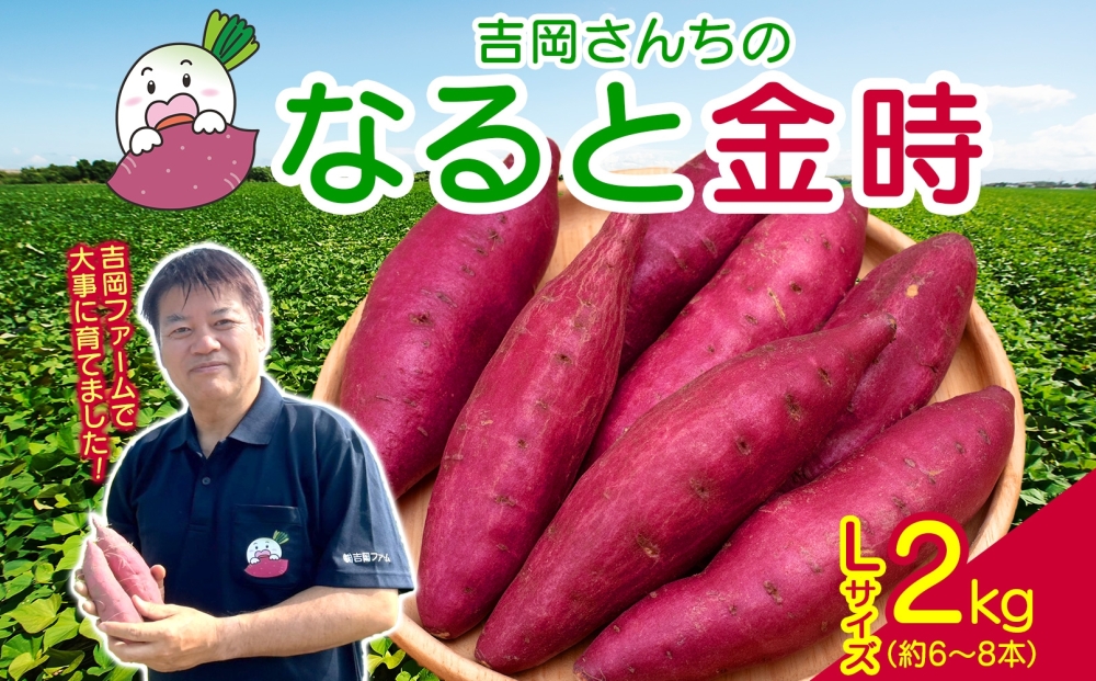 「吉岡さんちのなると金時」 Lサイズ 2kg