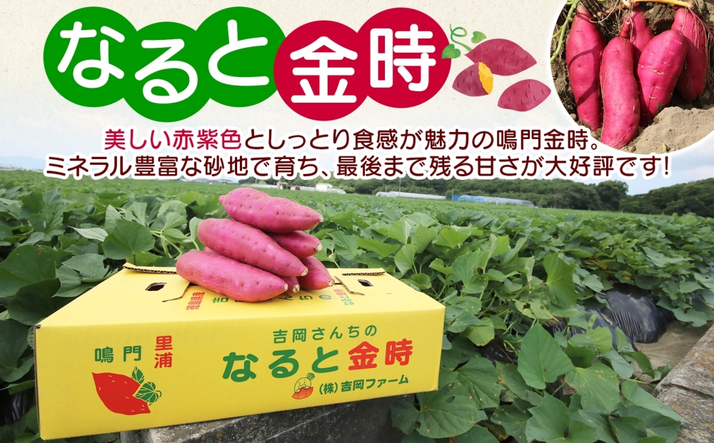 縲悟翠蟯。縺輔s縺。縺ョ縺ェ繧九→驥第凾縲 L繧オ繧、繧コ 3kg