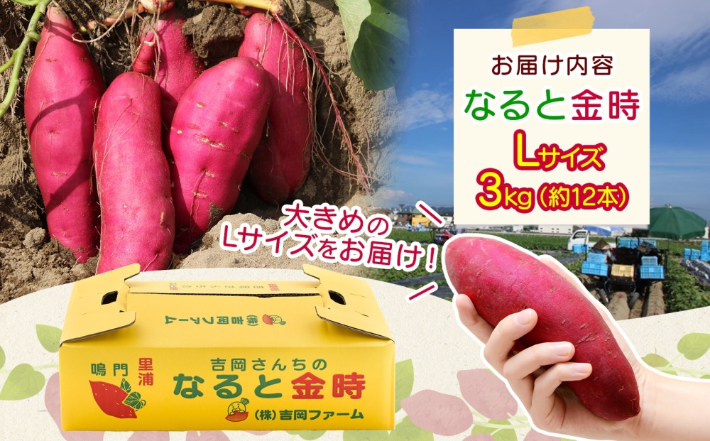 縲悟翠蟯。縺輔s縺。縺ョ縺ェ繧九→驥第凾縲 L繧オ繧、繧コ 3kg