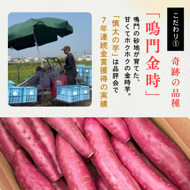 鳴門市里浦産　慎太の芋 5kg　鳴門　ほくほく　ねっとり　天ぷら　焼き芋　スイーツ　さつまいも