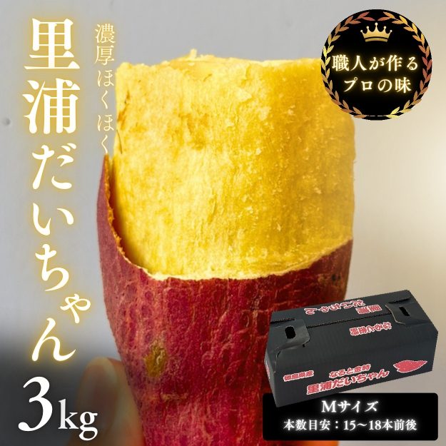 鳴門産 さつまいも 『 里浦だいちゃん 』 3kg | なると金時 甘い ホクホク スイーツ 焼き芋 干し芋 天ぷら サラダ けんぴ きんつば