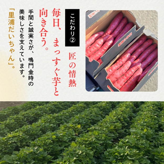 鳴門産 さつまいも 『 里浦だいちゃん 』 3kg | なると金時 甘い ホクホク スイーツ 焼き芋 干し芋 天ぷら サラダ けんぴ きんつば