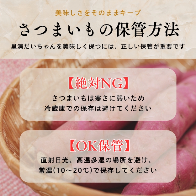 鳴門産 さつまいも 『 里浦だいちゃん 』 3kg | なると金時 甘い ホクホク スイーツ 焼き芋 干し芋 天ぷら サラダ けんぴ きんつば