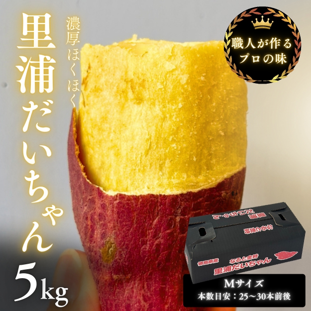 鳴門産 さつまいも 『 里浦だいちゃん 』 5kg | なると金時 甘い ホクホク スイーツ 焼き芋 干し芋 天ぷら サラダ けんぴ きんつば　さつまいも