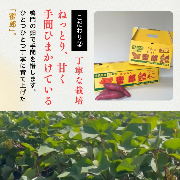 鳴門産さつまいも 『 蜜郎 （みつろう）』3kg 徳島県産 さつまいも サツマイモ 蜜芋 焼き芋 干し芋