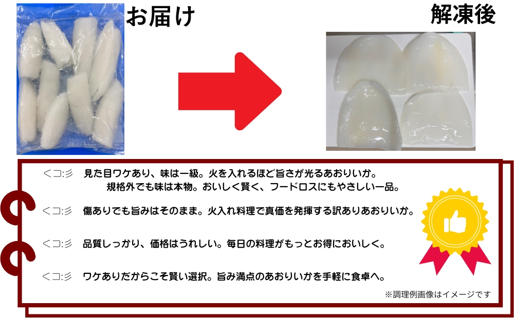 【訳アリ】アオリイカむき身（不揃い）