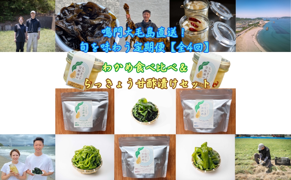 鳴門大毛島直送！【全4回定期便（1月/3月/5月/7月）】鳴門わかめ食べ比べ、らっきょう甘酢漬けセット