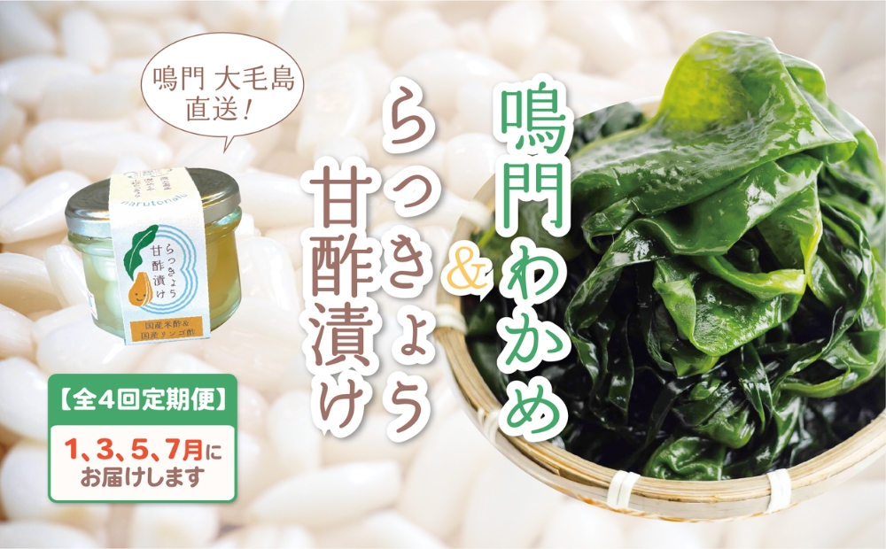 【全4回定期便】鳴門大毛島わかめ・らっきょうセット（1/3/5/7月）