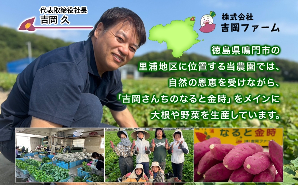 【予約受付中・2026年10月頃より順次発送】吉岡ファームのなると金時 3kg＋干し芋お試しセット