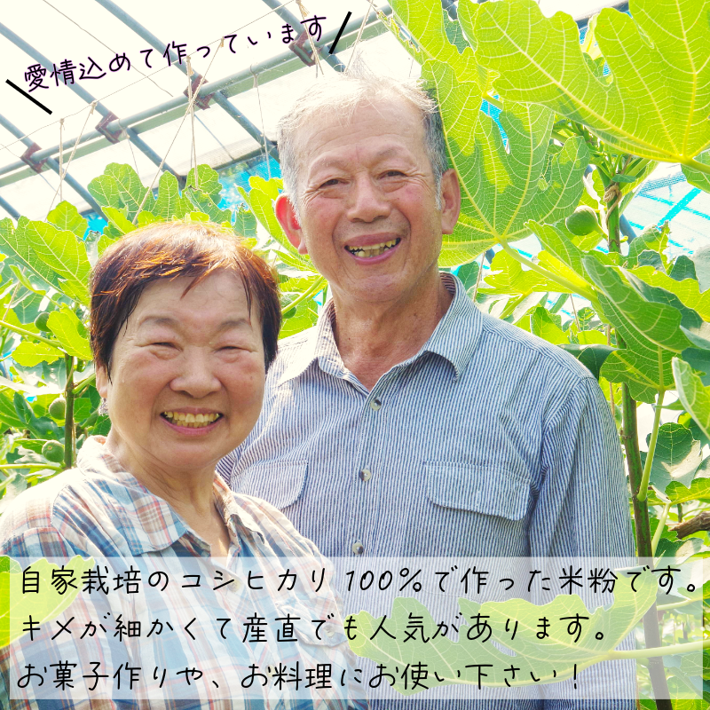 米粉 2kg（500g×4） 国産 溝木さんの米粉 小松島 グルテンフリー 米 パン お菓子 料理 パンケーキ 蒸しパン 健康 コシヒカリ 使用 小分け