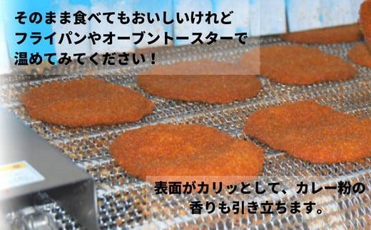 フィッシュカツ 10枚 冷凍 ピリ辛 練り物 おかず おつまみ ソウルフード ご当地 グルメ