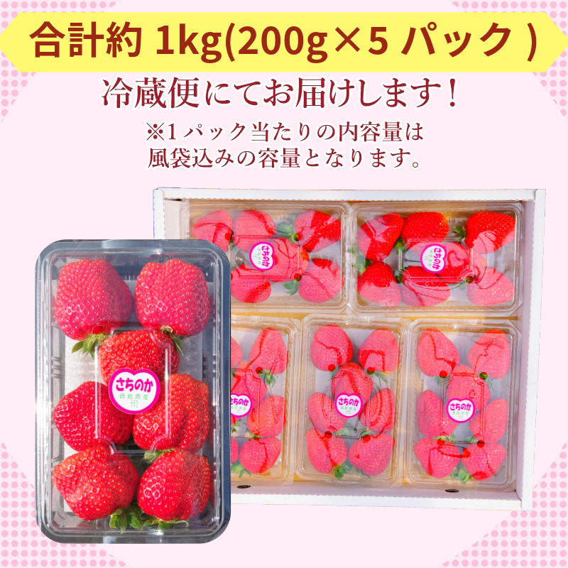 いちご さちのか 約1kg 約200g × 5パック 苺 イチゴ ストロベリー フルーツ 果物 洋菓子 和菓子 スイーツ お菓子 おやつ アイス ケーキ パフェ タルト ゼリー 限定出荷 イチゴ ブランド 大粒 フレッシュ  ベリー 甘い おいしい 朝摘み  送料無料 徳島 小松島 【2026年1月より順次発送】