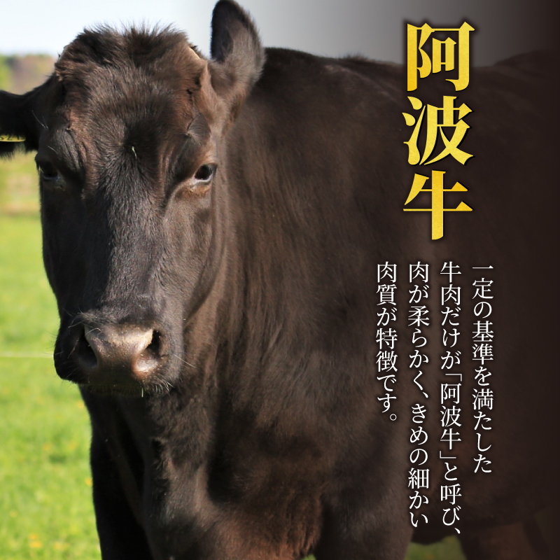 国産 黒毛和牛 阿波牛 ロース しゃぶしゃぶ 肉 500g 牛肉 赤身 ロース リブロース 肩ロース 赤身 A4 A5 等級 しゃぶしゃぶ すき焼き 鍋 料理