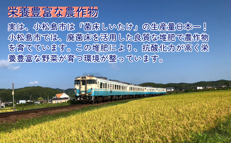 【定期便3回】阿波尾鶏　もも肉・むね肉セット1kg（500g×2P） 鶏肉 徳島 地鶏 とり肉 ブランド 唐揚げ チキン もも肉 小分け バラ 冷凍 小松島市 