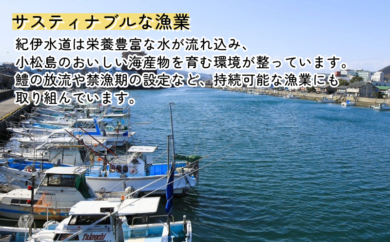 【定期便3回】阿波尾鶏　もも肉・むね肉セット1kg（500g×2P） 鶏肉 徳島 地鶏 とり肉 ブランド 唐揚げ チキン もも肉 小分け バラ 冷凍 小松島市 