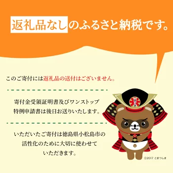 徳島県小松島市 【 返礼品なしの寄附】1000円 応援寄附金 応援 支援 災害 子育て 1口 1000円から ふるさと納税 観光徳島 小松島 寄付 南海トラフ 巨大 地震 津波 避難 タワー  子育て世代 応援 プロジェクト 子供 応援寄付