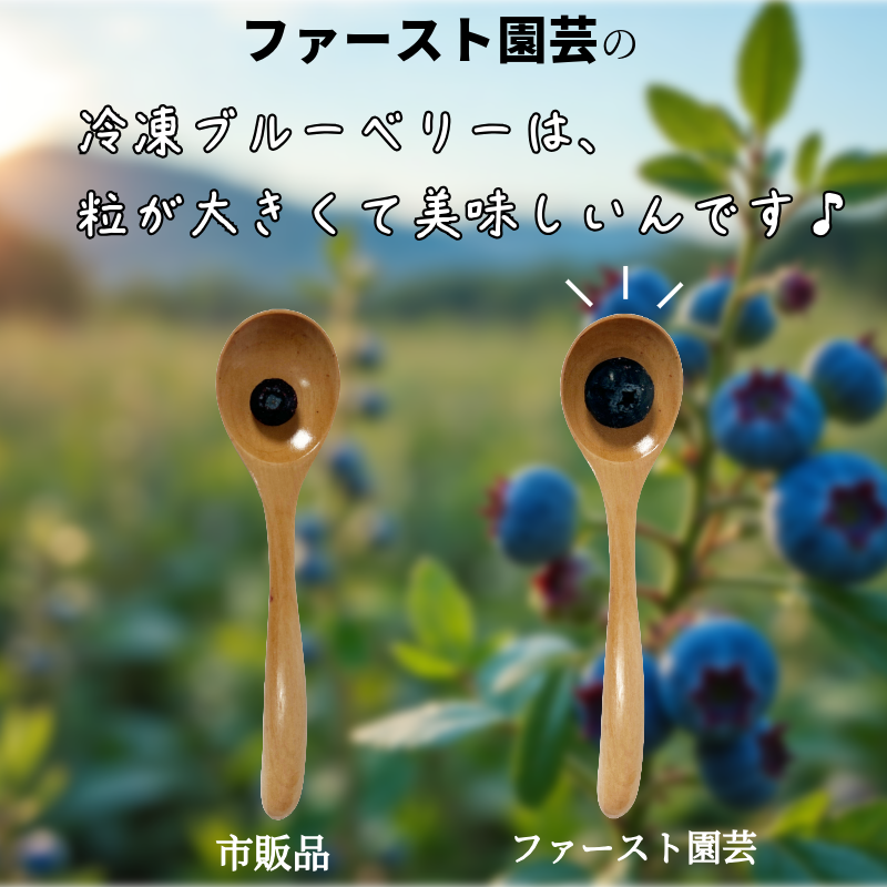 ブルーベリー 冷凍【訳あり】 1kg 産地直送 フルーツ ブルーベリー 新鮮 人気 果物 おすすめ フルーツ 四国 徳島 小松島 【送料無料】| 産地 直送 新鮮 夏 アイス シャーベット ソフトクリーム ジュース スムージー ヨーグルト 朝食 旬 ふるさと納税ブルーベリー ふるさとブルーベリー