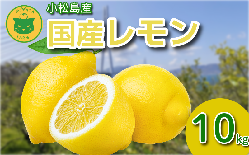 【2026年11月発送】レモン 10kg 秀品  国産 レモン 檸檬 れもん ワックス不使用 防腐剤不使用 柑橘 果汁 フルーツ 果実 徳島 小松島市