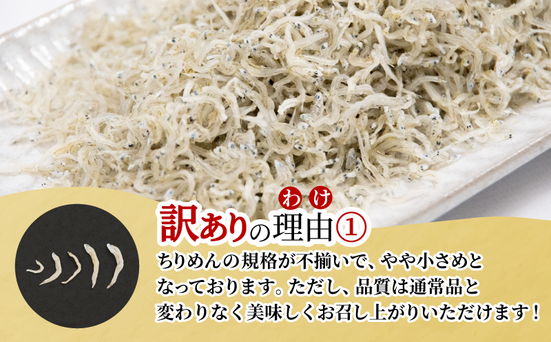 訳あり ちりめん 1.5kg 国産 しらす ちりめんじゃこ 鰯 いわし 魚 海鮮 魚介類 魚貝 干物 乾物 産地直送 しらすご飯 ごはん おにぎり 米 こめ 不揃い 規格外 家庭用 お取り寄せ グルメ おつまみ 弁当 おかず おやつ 酒の肴 惣菜 パスタ ピザ ちりめん山椒 冷蔵 送料無料 和田島産 徳島県 小松島市 【北海道・東北・沖縄・離島配送不可】