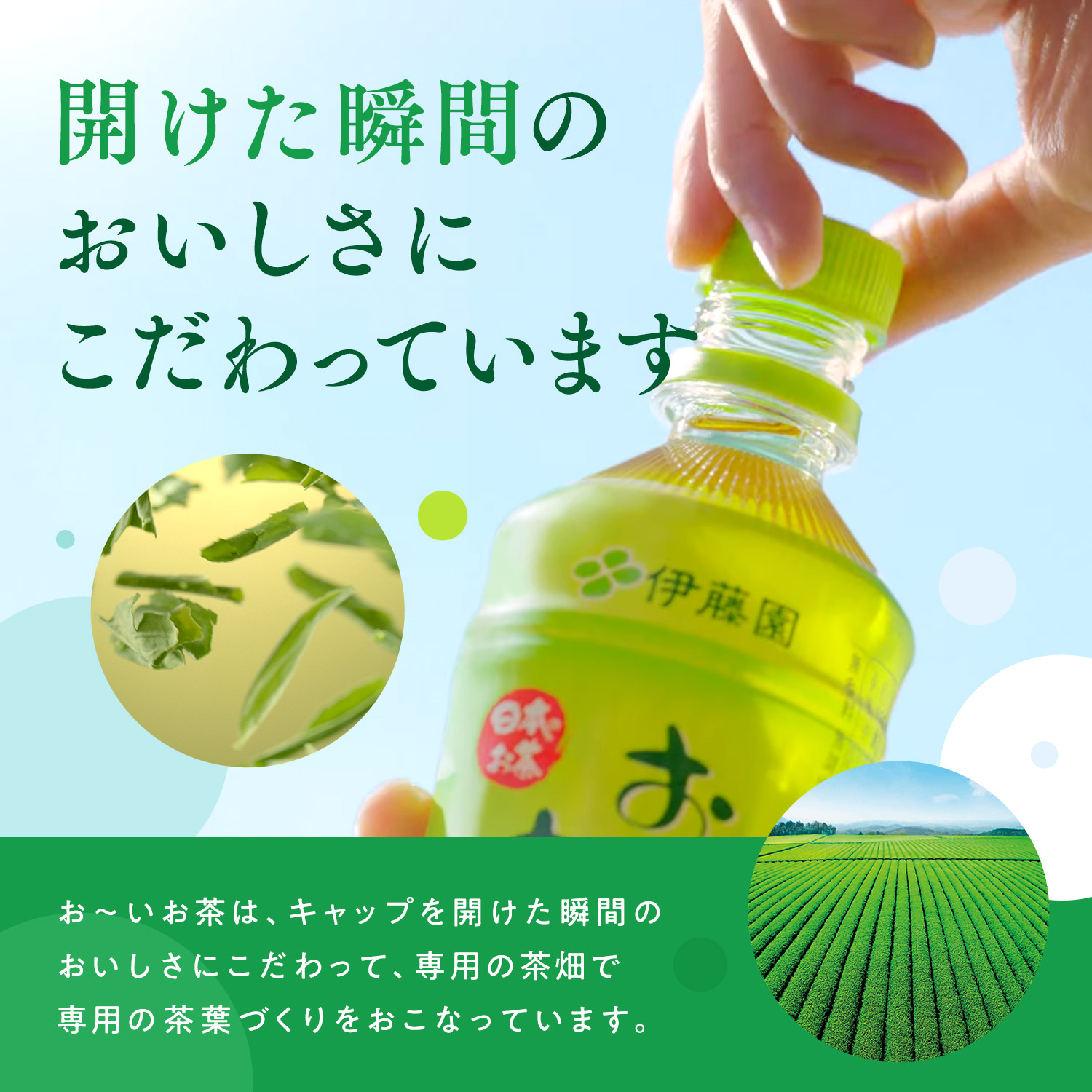 おーいお茶 ペットボトル お茶 伊藤園 緑茶 345ml × 24本 定期便 4回 茶 おちゃ 飲料 飲み物 定番 人気 おすすめ 送料無料