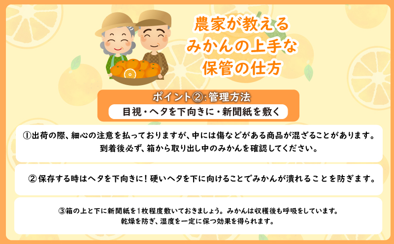 熟成 みかん 10kg 秀品 M~L 【先行予約】2025年2月発送  国産 徳島県 勝浦産 貯蔵 果物 フルーツ 柑橘 みかん 蜜柑 温州 人気 産地直送 数量限定 【北海道・東北・沖縄・離島配送不可】