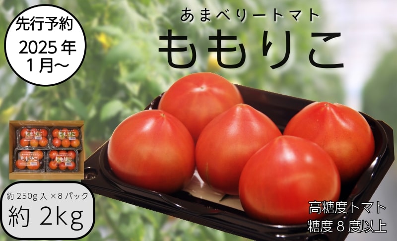 【先行予約】2025年4月発送 ももりこトマト 約2kg(約250g×8パック)　フルーツ トマト 糖度8以上 徳島 甘い 野菜 人気 おすすめ  産地 直送 ふるさと納税 野菜 ヘルシー 健康 小分け パック 