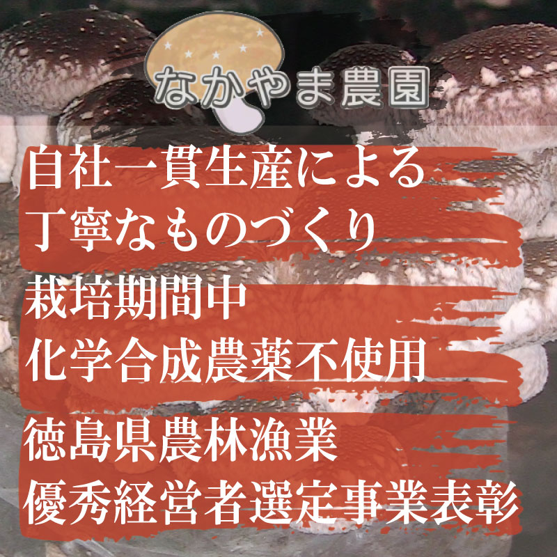 しいたけ 生 1.5kg 250g×6袋 徳島県産 国産 きのこ 茸 菌床椎茸 菌床栽培 菌糸 椎茸 生しいたけ 野菜 産地直送 ビタミンD 食物繊維 グアニル酸 低カロリー 健康 ダイエット 美容 出汁 鍋 煮物 味噌汁 うどん 徳島 小松島