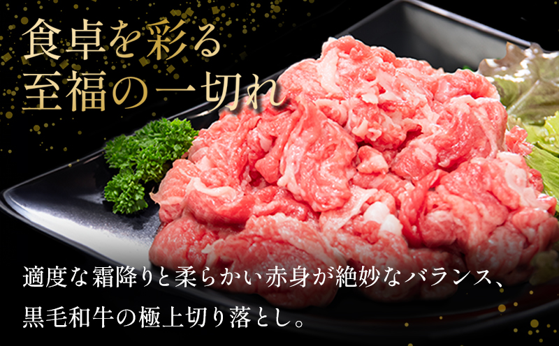 国産 黒毛和牛 阿波牛 赤身 切り落とし 550g 牛肉 切り落し 赤身 もも バラ A4 A5 等級 しゃぶしゃぶ すき焼き 炒め物 料理 おかず ごはん 