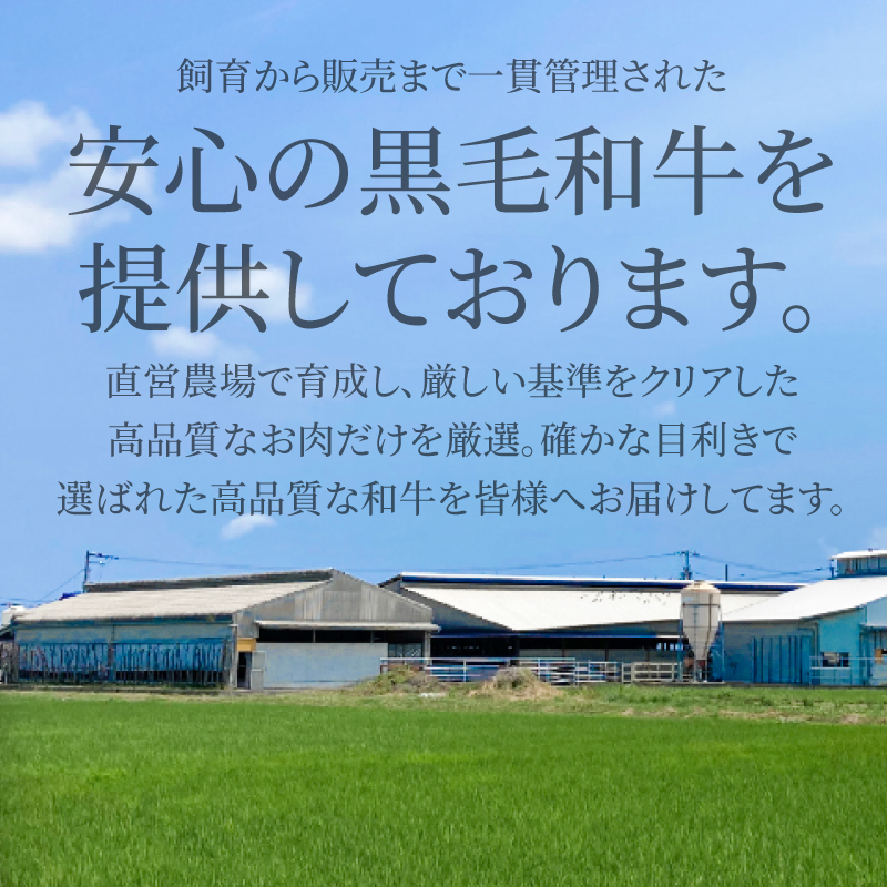 阿波牛 牛すじ 1kg（500g×2） 選べる 容量 カレー 牛すじ煮込み おでん 料理 国産 ぎゅうすじ すじ肉 小分け 冷凍 和牛 お肉 牛 小松島市