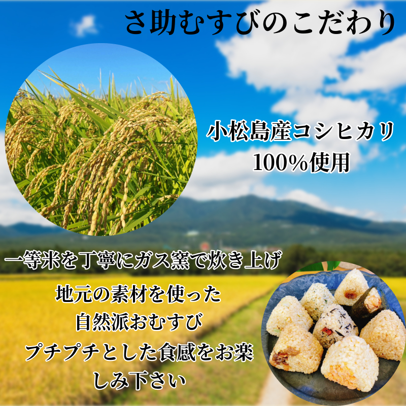 玄米おむすび10種20個セット 玄米  国産 冷凍おにぎり 鮭 じゃこ 阿波牛 ゆず みそ うめ ひじき きくらげ おかか 朝ごはん おやつ ダイエット  健康 小松島市 徳島