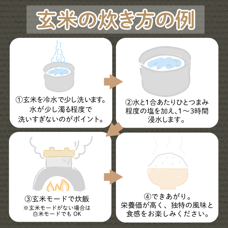 【定期便6回】 玄米 コシヒカリ  計60kg 10kg×6回 定期便 栽培期間中無農薬 ｜ 徳島県 ふるさと納税 新生活 四国 徳島 小松島 新生活 おいしい お米 米 こめ おこめ 国産 限定 ごはん ご飯 ゴハン ふるさと ランキング 人気 安全 安心 栄養 おすすめ 送料無料 国産 TKG 卵かけご飯 おにぎり おむすび いのち育む田んぼ米 生物多様性 【北海道･沖縄･離島への配送不可】