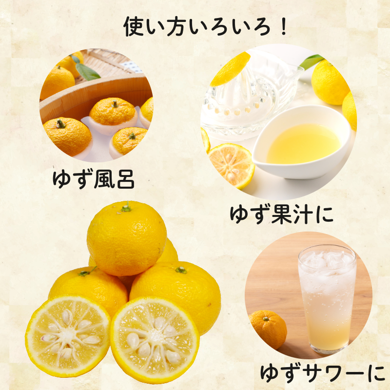 ãèš³ããã ãã 10kg æå ãã ãŠãº ãã«ãŒã æç© ææ© é»è² æç® ææ± ãããããã æåè¡æ€ ã¹ã€ãŒã ãã¶ãŒã ã¢ã¬ã³ãž æå颚å ãã颚å å°æŸå³¶åž