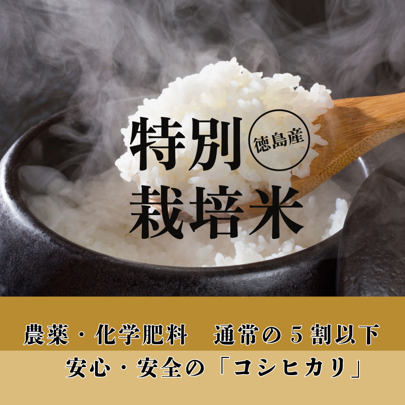 【2週間発送】令和6年産 新米 白米 コシヒカリ 5kg | 特別栽培米 健康 安心 安全 | 新米限定発送 お試し 少量 小分け | 四国 徳島 小松島 | 米 おいしい kome お米 こめ おこめ こしひかり 精米 国産 ごはん ご飯 白飯 ゴハン 人気 コスパ おすすめ TKG 卵かけご飯 おにぎり おむすび | 少ない 農薬 化学肥料 | 発送開始