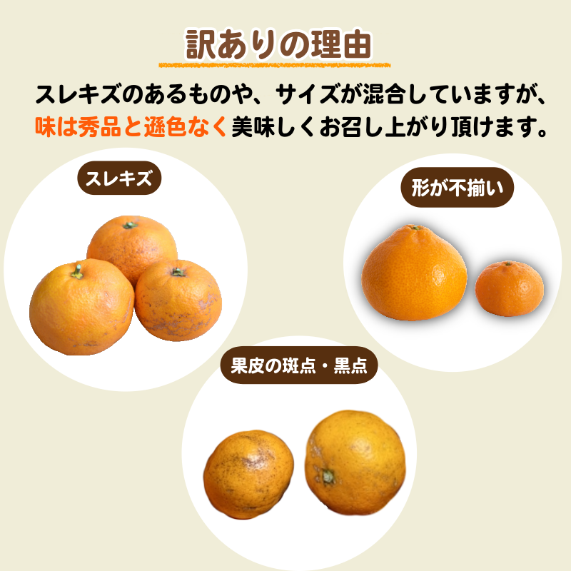【2026年11月発送】 訳あり みかん 温州みかん10kg（10kg+傷み保証500g） ミカン 蜜柑 甘い フルーツ 柑橘 ジュース 小松島市 オススメ 人気 ふるさと納税 10kg